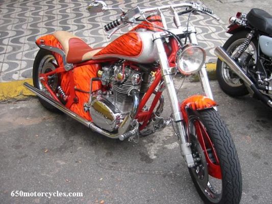 Click to view full size image
 ============== 
650 softtail Chopper
