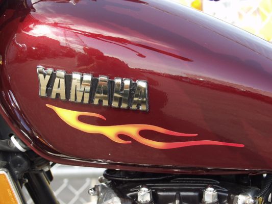 Click to view full size image
 ============== 
Added flames to my paint job from purpleharley.com
