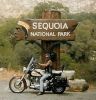 At Sequoia National Park